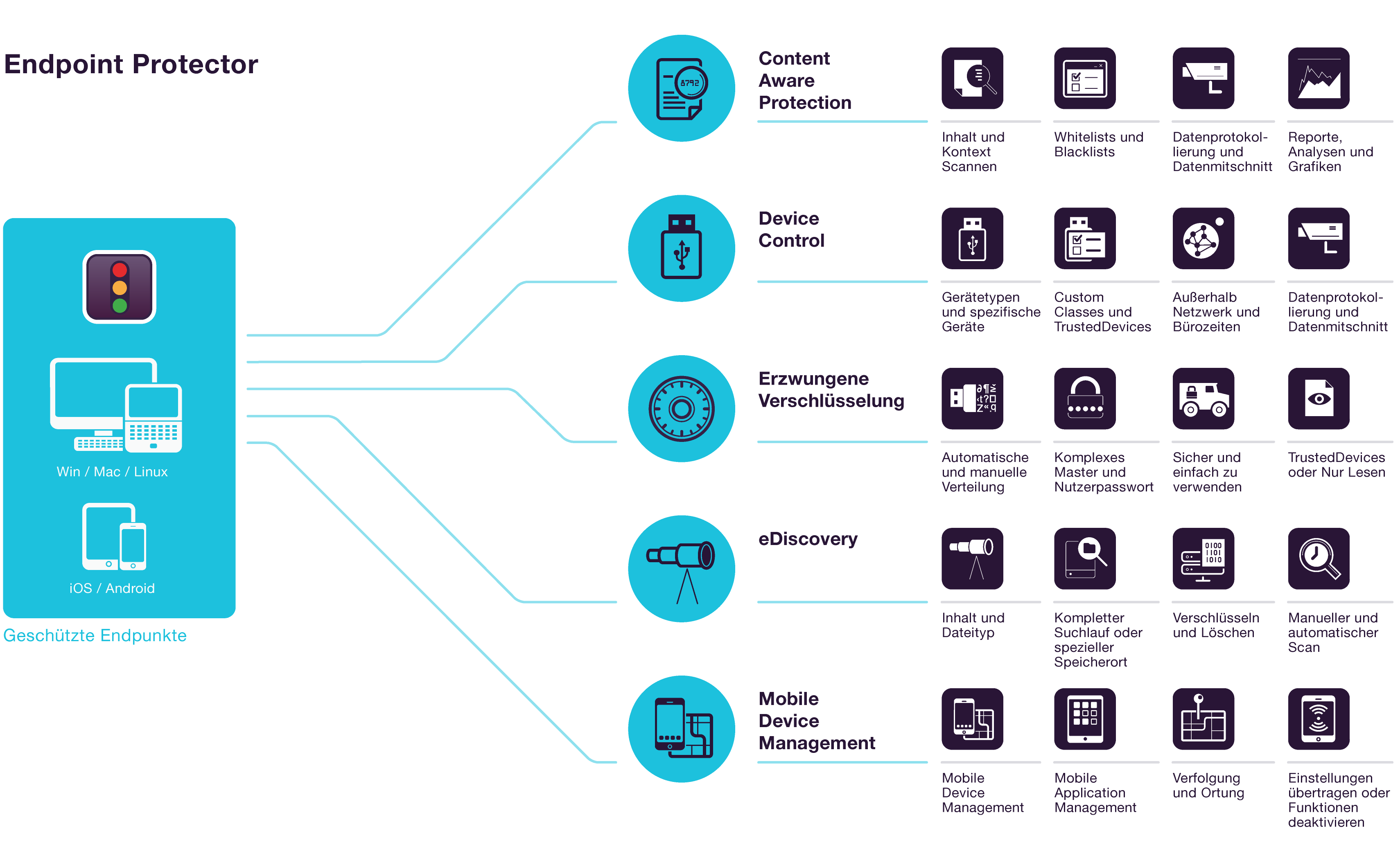 Infographic